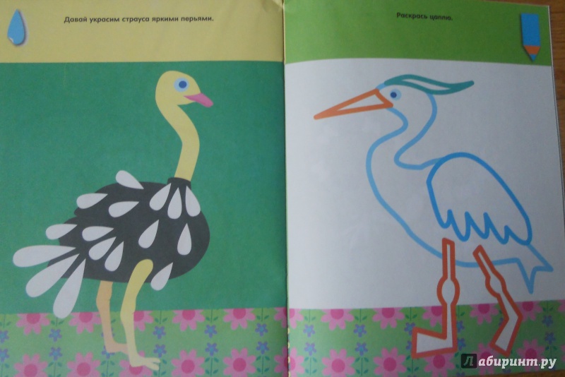 Иллюстрация 5 из 28 для Мир животных. Раскраски с наклейками | Лабиринт - книги. Источник: Касаткина  Мария Викторовна