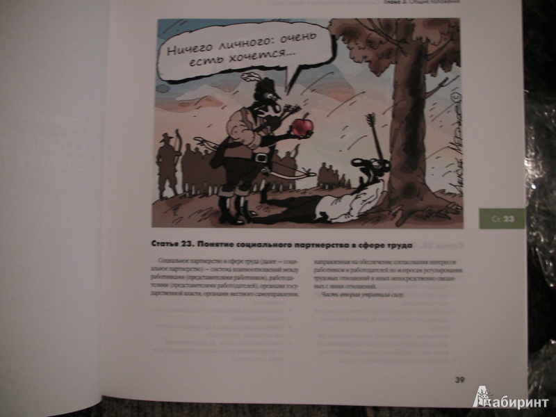 Иллюстрация 13 из 19 для Иллюстрированный Трудовой кодекс РФ | Лабиринт - книги. Источник: KELT