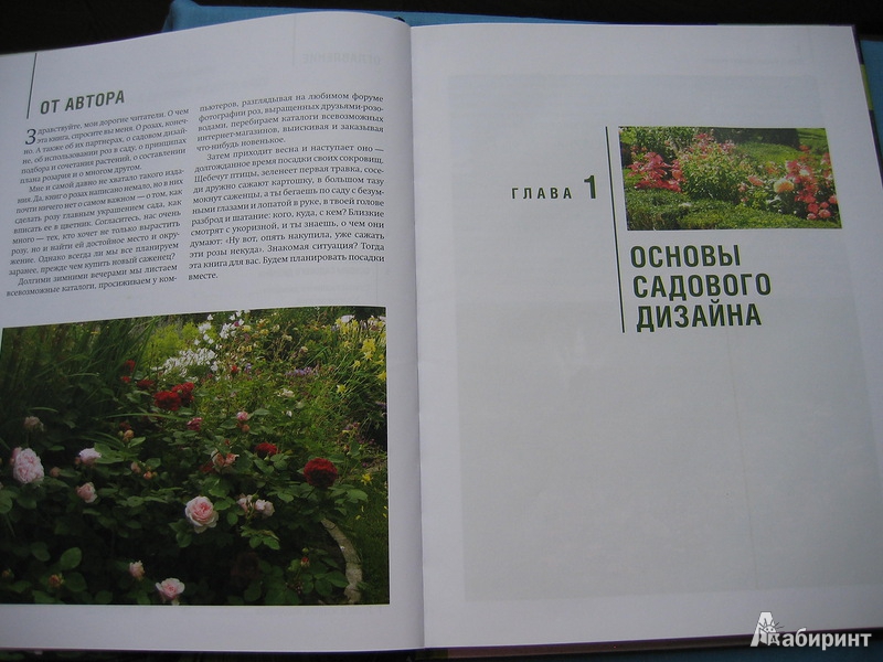 Иллюстрация 18 из 27 для Розы в дизайне вашего сада - Юлия Тадеуш | Лабиринт - книги. Источник: Костина  Светлана Олеговна
