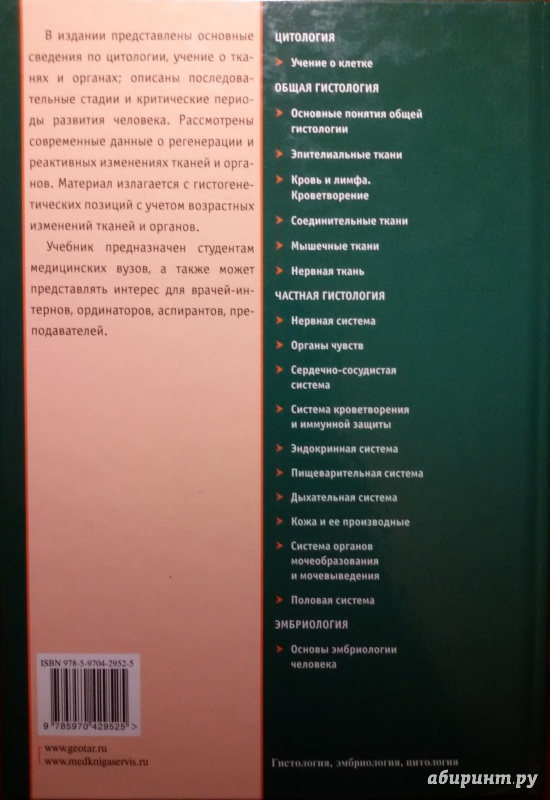 Иллюстрация 4 из 30 для Гистология, эмбриология, цитология. Учебник - Афанасьев, Юрина, Алешин | Лабиринт - книги. Источник: olegiv