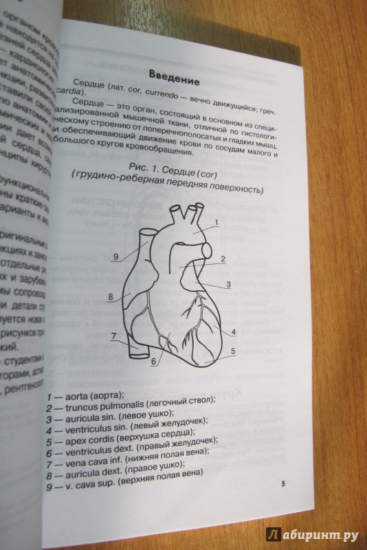 Иллюстрация 10 из 13 для Как лечить сердечные недуги. Что советуют врачи | Лабиринт - книги. Источник: Hitopadesa