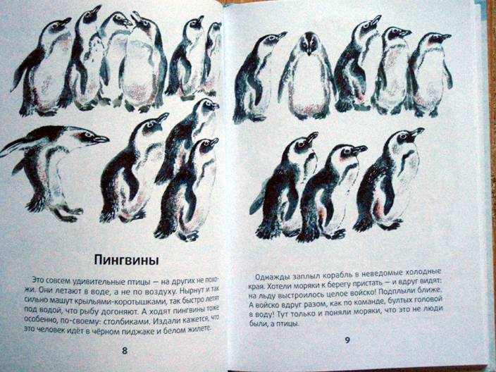 Иллюстрация 5 из 10 для Моя первая зоология - Евгений Чарушин | Лабиринт - книги. Источник: beet