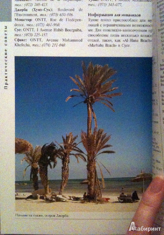 Иллюстрация 20 из 21 для Тунис: Путеводитель - Диана Дарк | Лабиринт - книги. Источник: Lily69