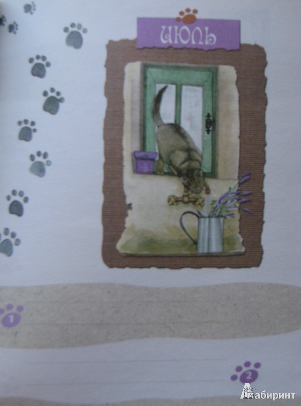 Иллюстрация 22 из 27 для Книга для записи важных дат. Кошки | Лабиринт - канцтовы. Источник: Штерн  Яна