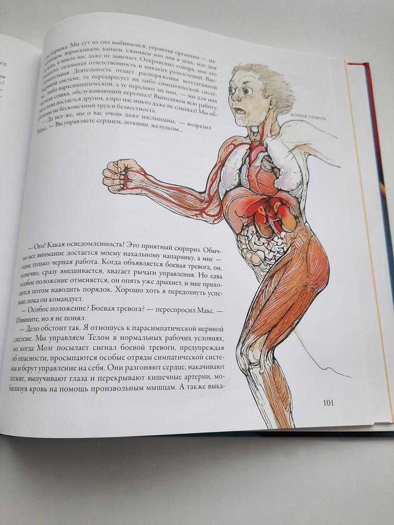 Иллюстрация 16 из 60 для Тайны анатомии - Кэрол Доннер | Лабиринт - книги. Источник: Вдовина  Елена