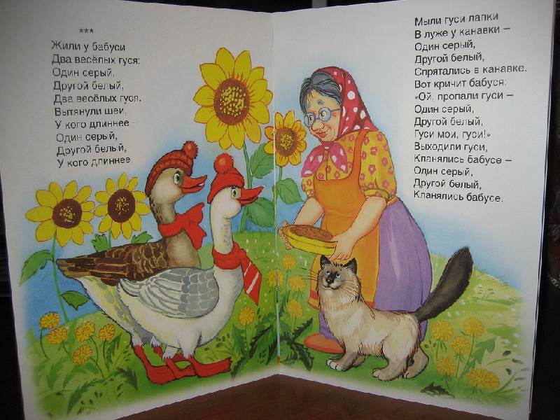 Текст песни два гуся жили у бабуси. Потешки про гуся. Жили у бабуси потешки. Стишок про 2 веселых гуся. Русские народные потешки для детей.