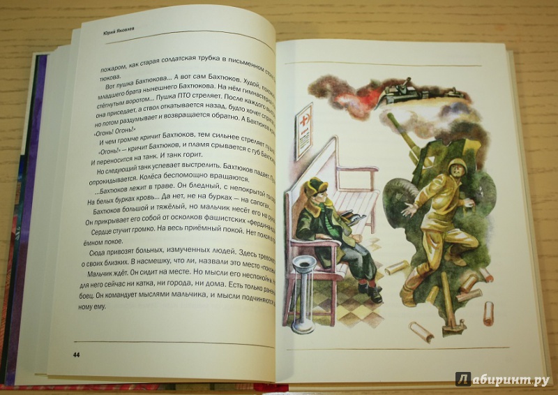 Иллюстрация 30 из 74 для Последний фейерверк - Юрий Яковлев | Лабиринт - книги. Источник: КНИЖНОЕ ДЕТСТВО