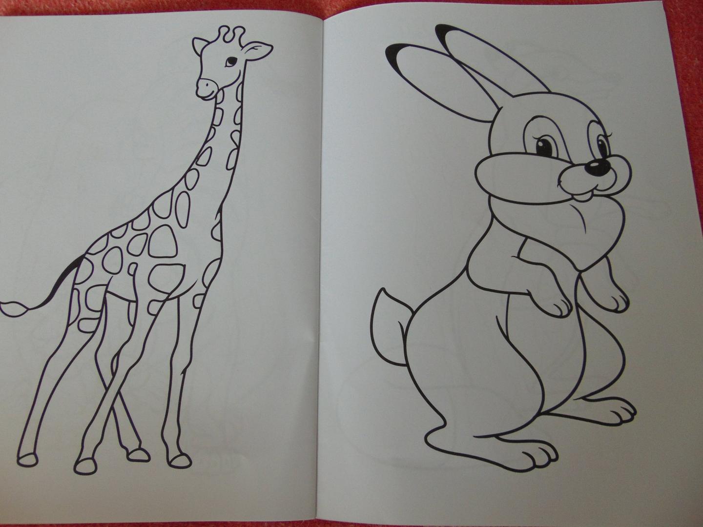 Иллюстрация 8 из 29 для Раскраска "Зоопарк" | Лабиринт - книги. Источник: анна