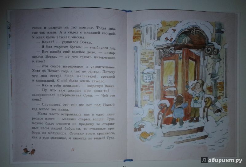 Иллюстрация 39 из 83 для Апельсин - Анна Доброчасова | Лабиринт - книги. Источник: Молодцова  Екатерина Геннадьевна