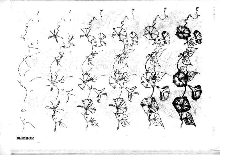 Иллюстрация 2 из 15 для Рисуем 50 цветов и деревьев (розовая) - Эймис, Эймис | Лабиринт - книги. Источник: Юта