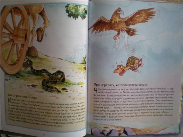 Иллюстрация 17 из 24 для О животных | Лабиринт - книги. Источник: Гостья