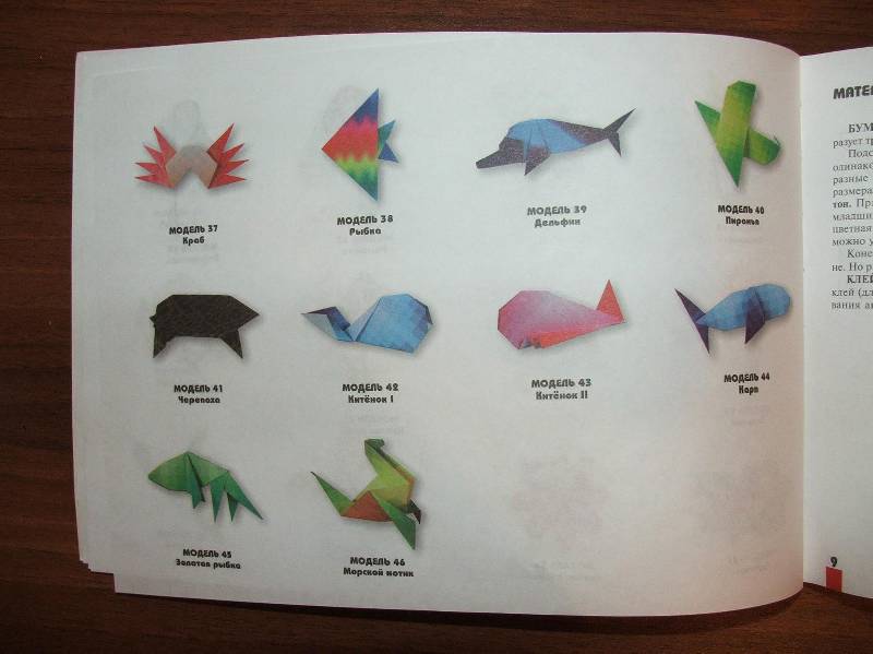 Иллюстрация 5 из 26 для Оригами для начинающих (с набором цветной бумаги) - Ирина Богатова | Лабиринт - книги. Источник: Сороконожка