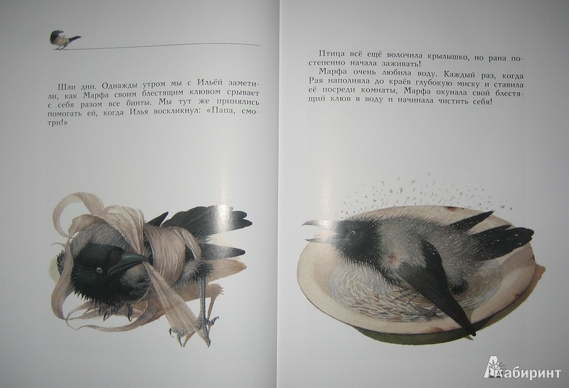 Иллюстрация 36 из 57 для Марфа - Геннадий Спирин | Лабиринт - книги. Источник: Трухина Ирина
