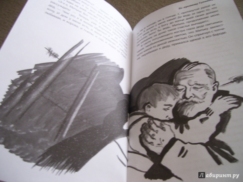 Иллюстрация 37 из 44 для Гагара - Надежда Васильева | Лабиринт - книги. Источник: Антон