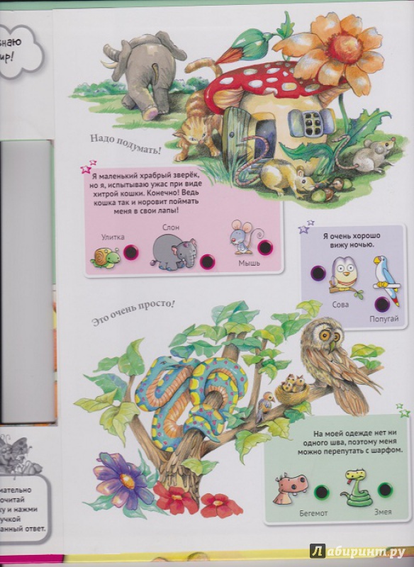 Иллюстрация 17 из 42 для Для малышей загадки о животных | Лабиринт - книги. Источник: Моисеева  Ирина