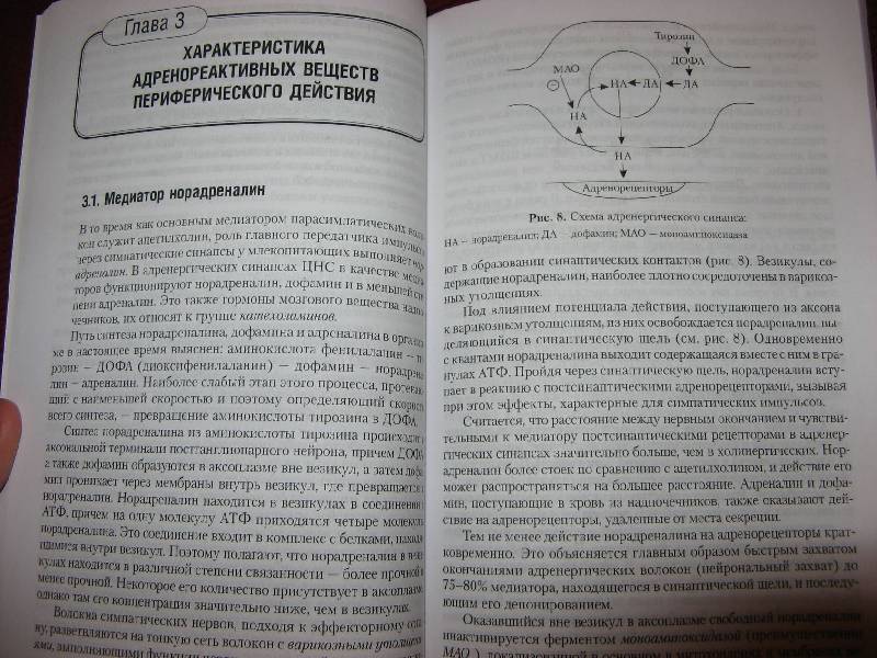 Иллюстрация 12 из 14 для Основы нейрофармакологии - Евгения Белова | Лабиринт - книги. Источник: masha-4-na