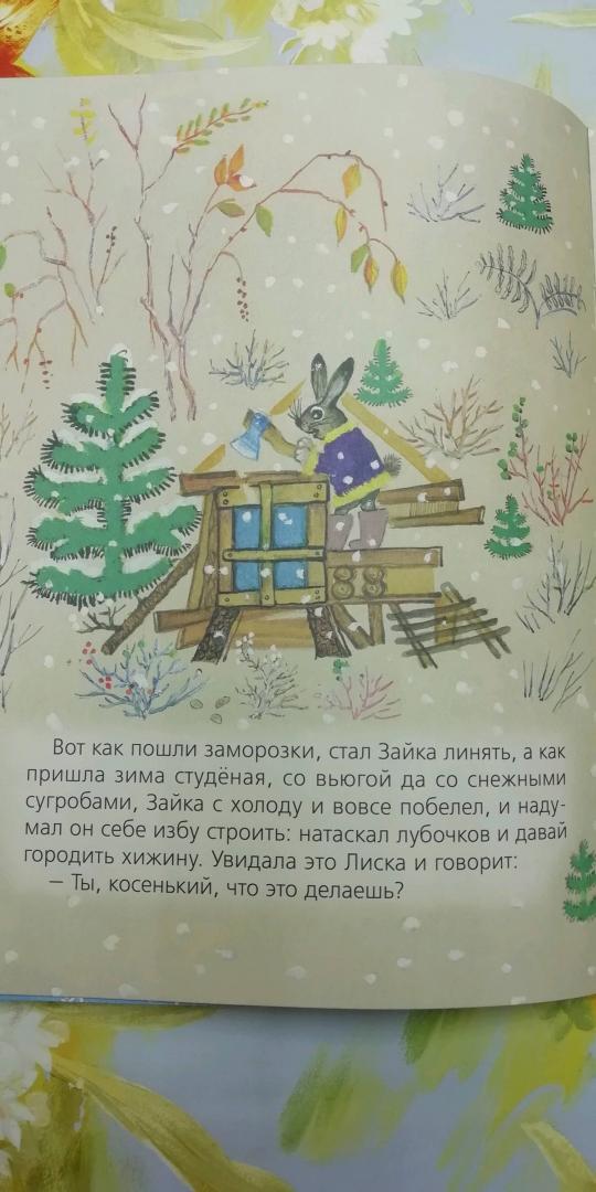 Иллюстрация 59 из 59 для Лиса и заяц | Лабиринт - книги. Источник: Лабиринт