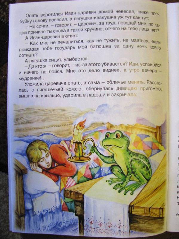 Иллюстрация 2 из 41 для Царевна-лягушка | Лабиринт - книги. Источник: Phaze