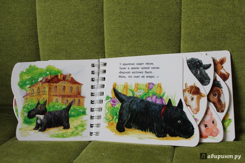 Иллюстрация 9 из 31 для На ферме - Юлия Каспарова | Лабиринт - книги. Источник: КАТАРИНА1988