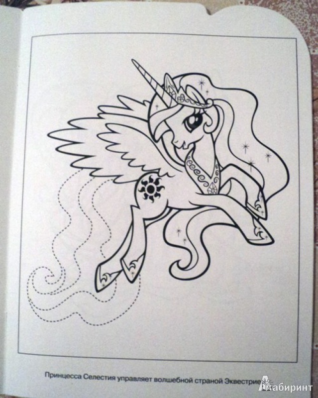 Иллюстрация 1 из 27 для Умная раскраска. Мой маленький пони (№13125) | Лабиринт - книги. Источник: Миссис Бонд