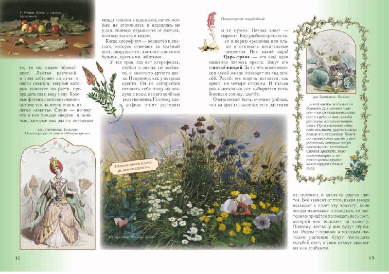 Иллюстрация 32 из 36 для Детский травник - Ольга Колпакова | Лабиринт - книги. Источник: knigoved