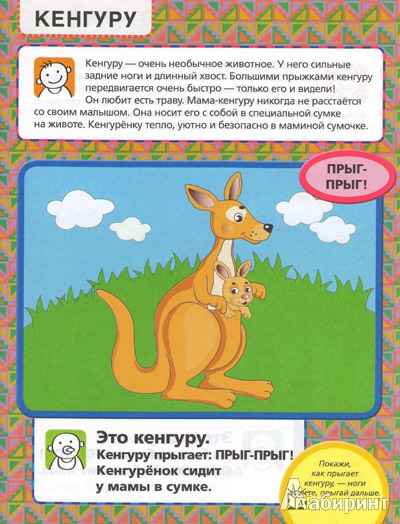 Иллюстрация 2 из 24 для Приходите в зоопарк - Елена Янушко | Лабиринт - книги. Источник: Автор этой книги