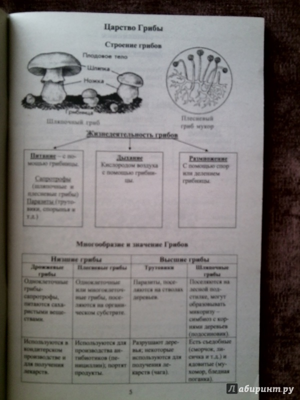 Иллюстрация 3 из 26 для Биология в таблицах и схемах | Лабиринт - книги. Источник: Юльна