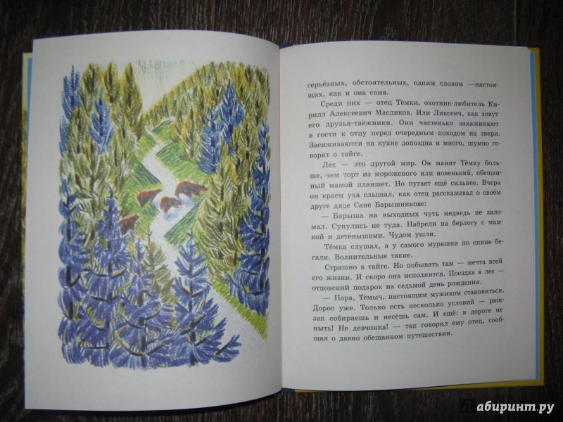 Иллюстрация 10 из 29 для Сын тайги - Наталья Шицкая | Лабиринт - книги. Источник: Эля