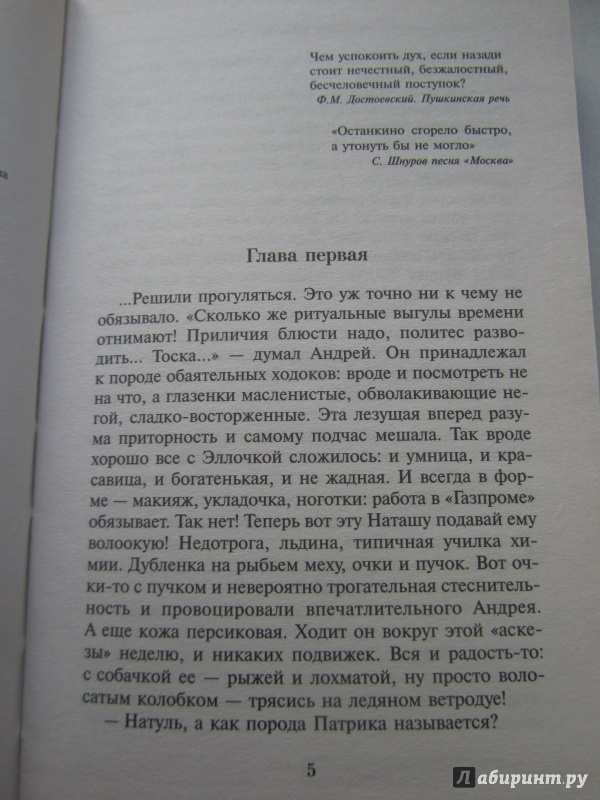 Иллюстрация 4 из 7 для Прыжок в ледяное отчаяние - Анна Шахова | Лабиринт - книги. Источник: Марина