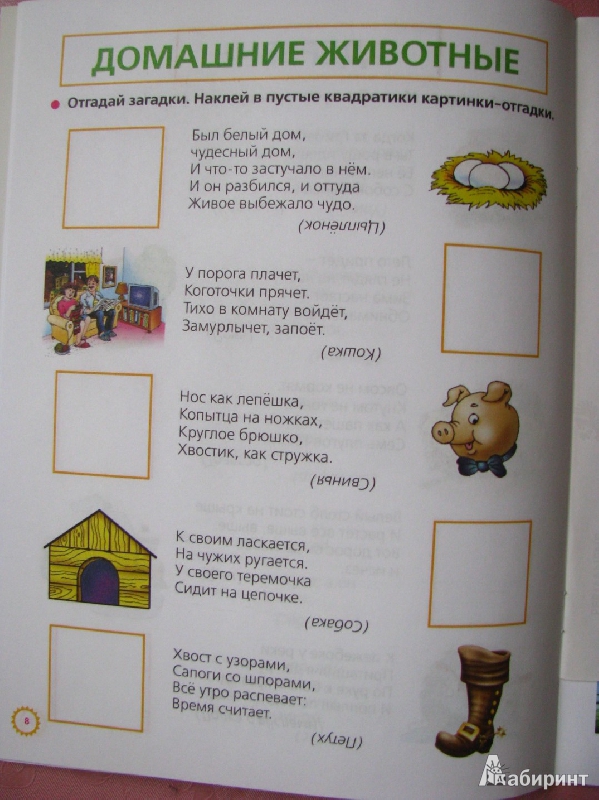 Иллюстрация 10 из 25 для Загадки обо всем на свете. Умные наклейки. От 3 до 5 лет - Олеся Жукова | Лабиринт - книги. Источник: Татьян@