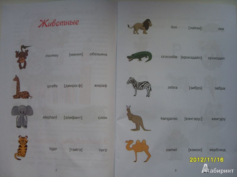 Иллюстрация 2 из 7 для Животные. Английский для самых маленьких. С наклейками - Татьяна Ванагель | Лабиринт - книги. Источник: kominaan