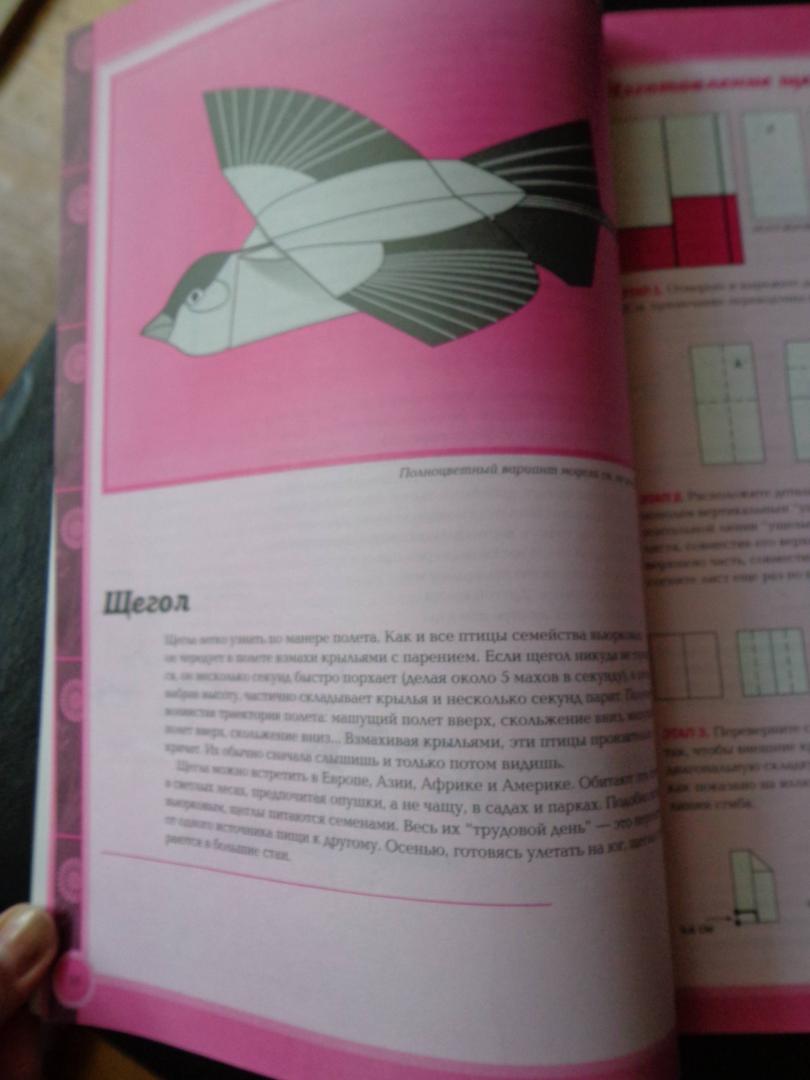 Иллюстрация 29 из 36 для Птицы из бумаги - Норман Шмидт | Лабиринт - книги. Источник: Лабиринт
