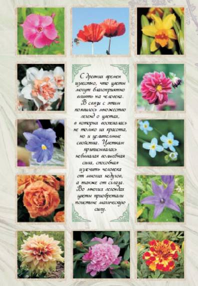Иллюстрация 2 из 36 для Благодарю вас за цветы | Лабиринт - книги. Источник: Золотая рыбка