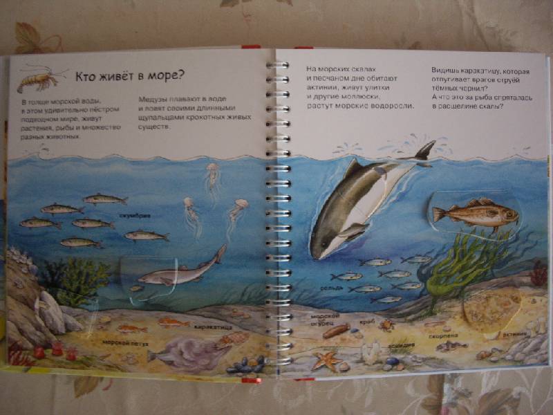 Иллюстрация 4 из 58 для На море - Андреа Эрне | Лабиринт - книги. Источник: Майский день