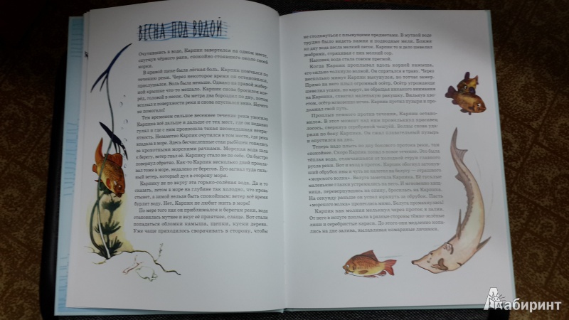 Иллюстрация 44 из 65 для Приключения Карпика - Андрей Клыков | Лабиринт - книги. Источник: ИринаИ