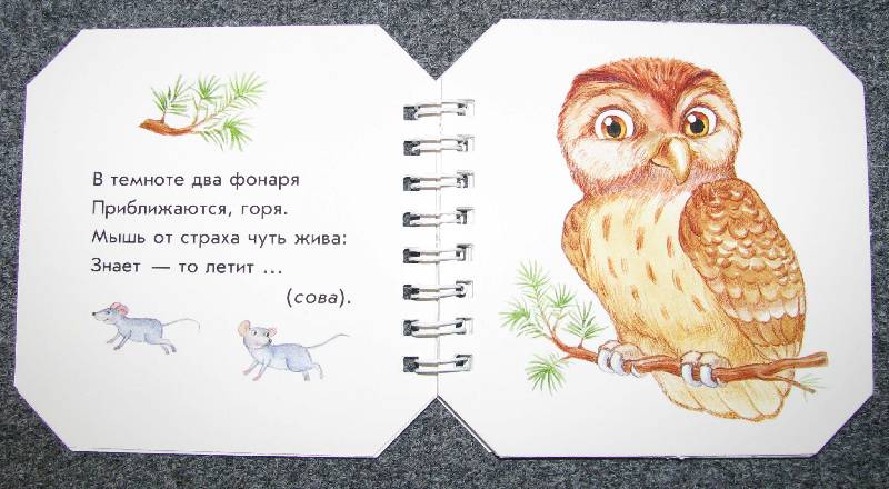Иллюстрация 3 из 13 для Кто в лесу живет - А. Геращенко | Лабиринт - книги. Источник: Апельсинка