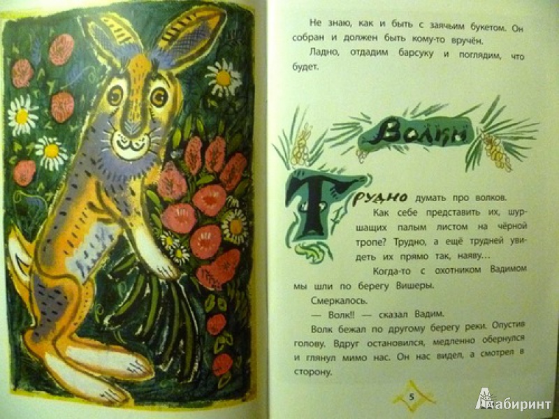 Иллюстрация 2 из 52 для Заячий букет - Коваль, Маврина | Лабиринт - книги. Источник: alex-sandr