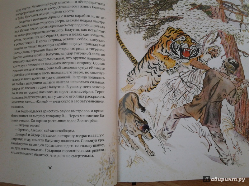 Иллюстрация 80 из 154 для Золотая Ригма - Всеволод Сысоев | Лабиринт - книги. Источник: Olga