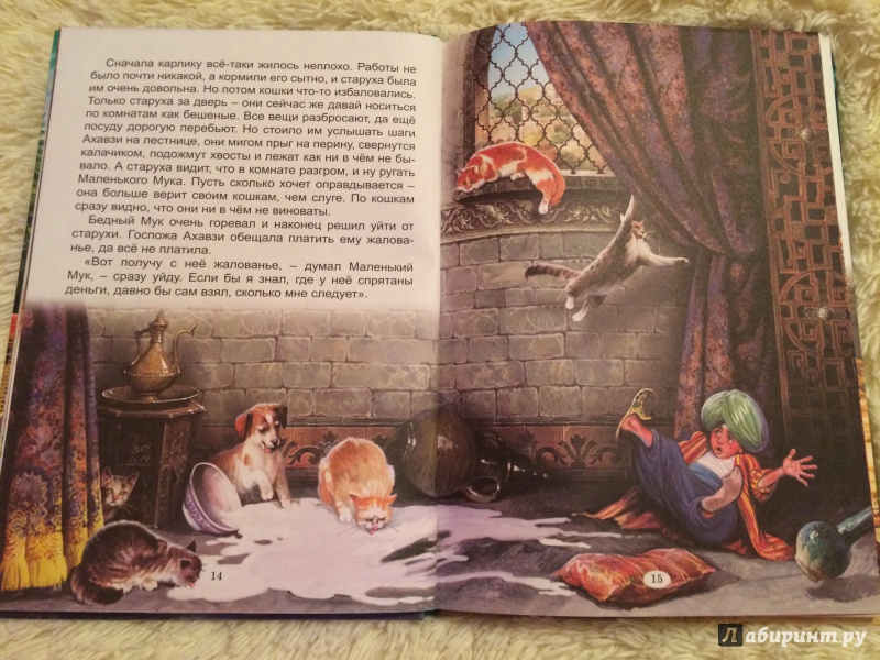 Иллюстрация 10 из 38 для Две сказки - Вильгельм Гауф | Лабиринт - книги. Источник: Елена Демина