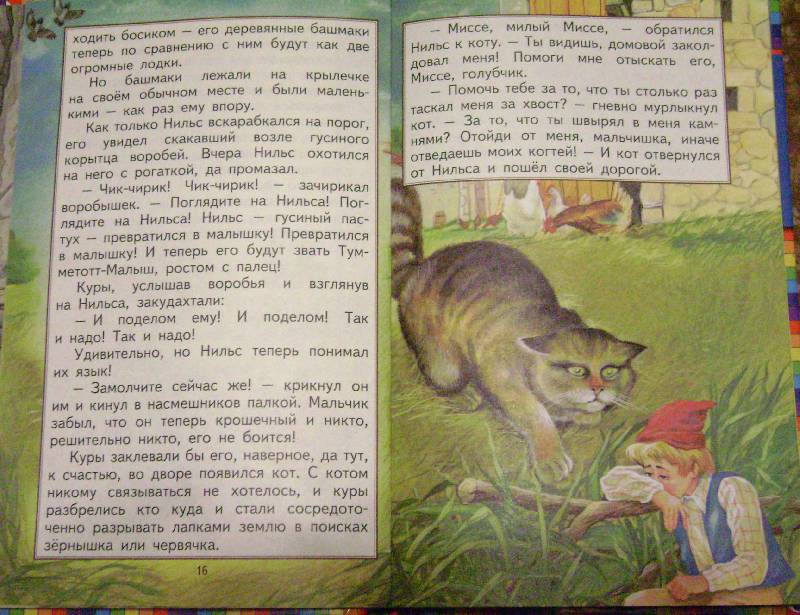 Иллюстрация 30 из 33 для Путешествие Нильса с дикими гусями - Сельма Лагерлеф | Лабиринт - книги. Источник: Batterfly