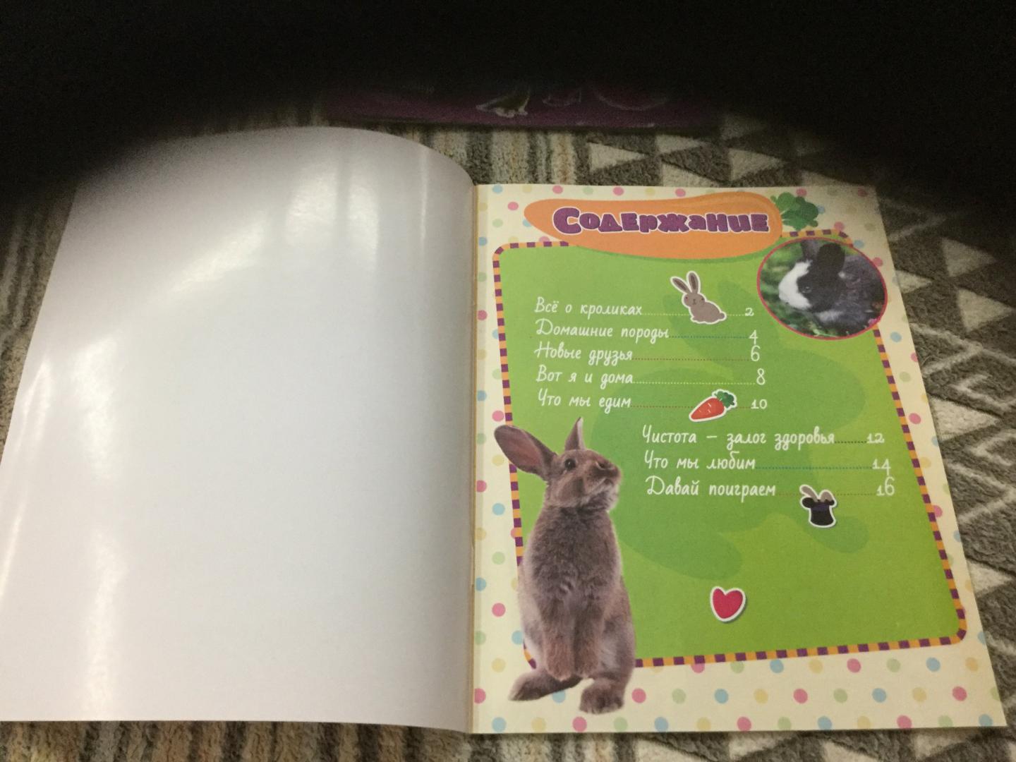 Иллюстрация 8 из 12 для Мой любимый кролик + наклейки внутри | Лабиринт - книги. Источник: Светлая