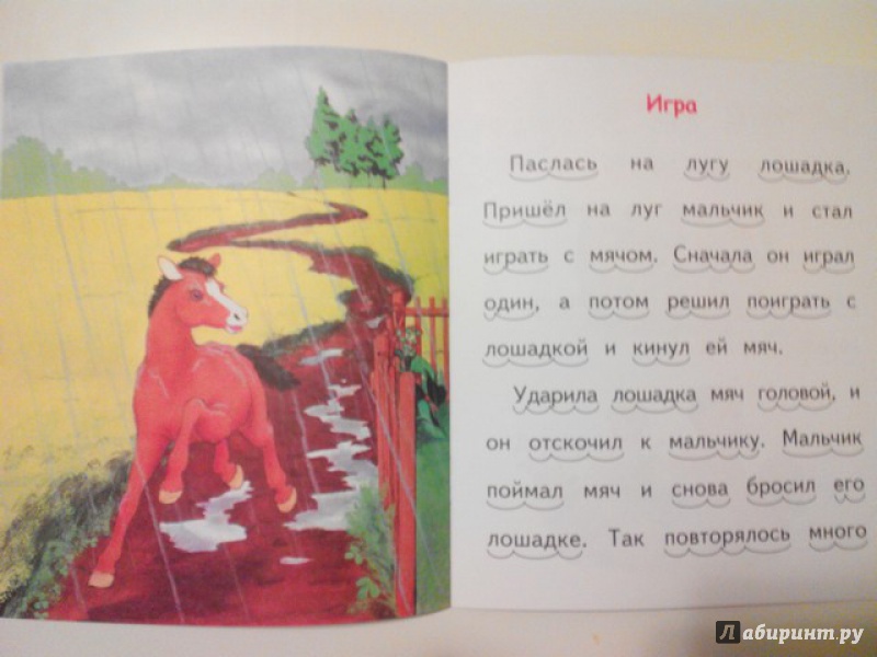 Иллюстрация 14 из 15 для Мишка и пчелы - Владимир Степанов | Лабиринт - книги. Источник: Irbis