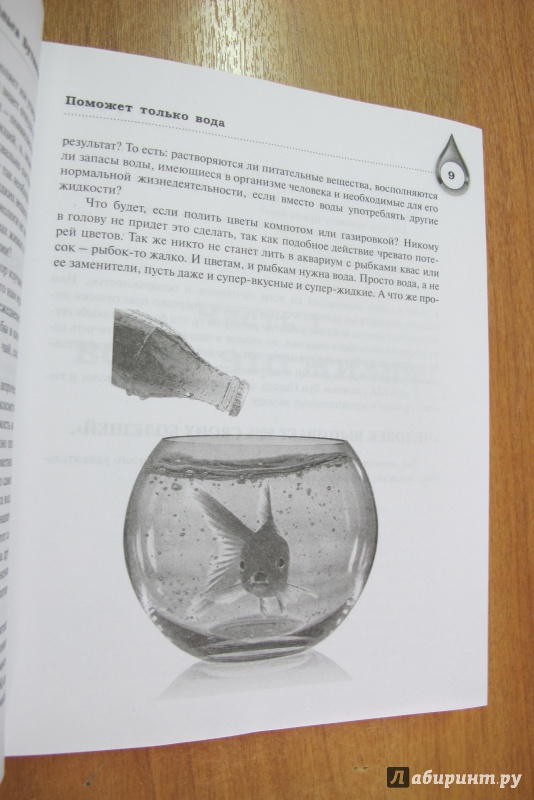 Иллюстрация 24 из 66 для Поможет только вода - Ольга Бутакова | Лабиринт - книги. Источник: Hitopadesa