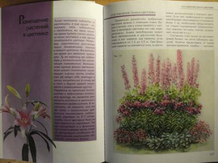 Иллюстрация 5 из 5 для Создаем красивый цветник - Ирина Бочкова | Лабиринт - книги. Источник: karina_pavlovna