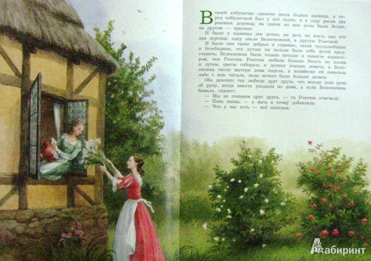 Иллюстрация 18 из 41 для Белоснежка и Розочка - Гримм Якоб и Вильгельм | Лабиринт - книги. Источник: ОксанаШ
