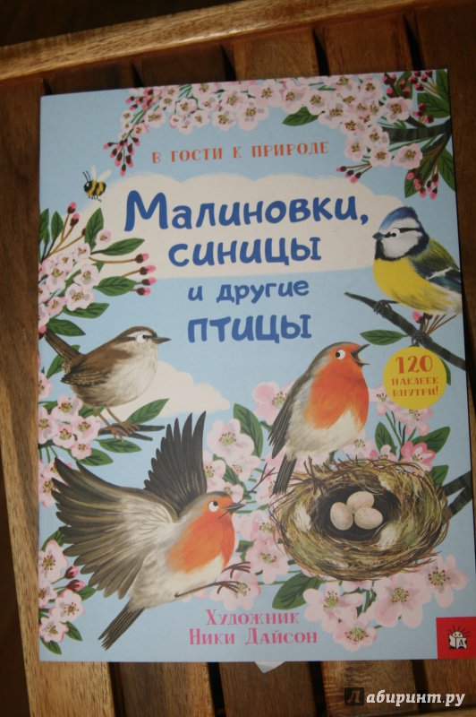 Иллюстрация 14 из 32 для Малиновки, синицы и другие птицы | Лабиринт - книги. Источник: Кабанова  Ксения Викторовна