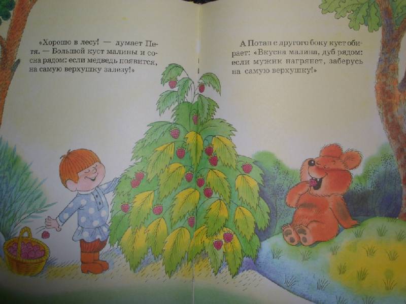 Иллюстрация 57 из 73 для Петя и медвежонок Потап - Виктор Чижиков | Лабиринт - книги. Источник: sher