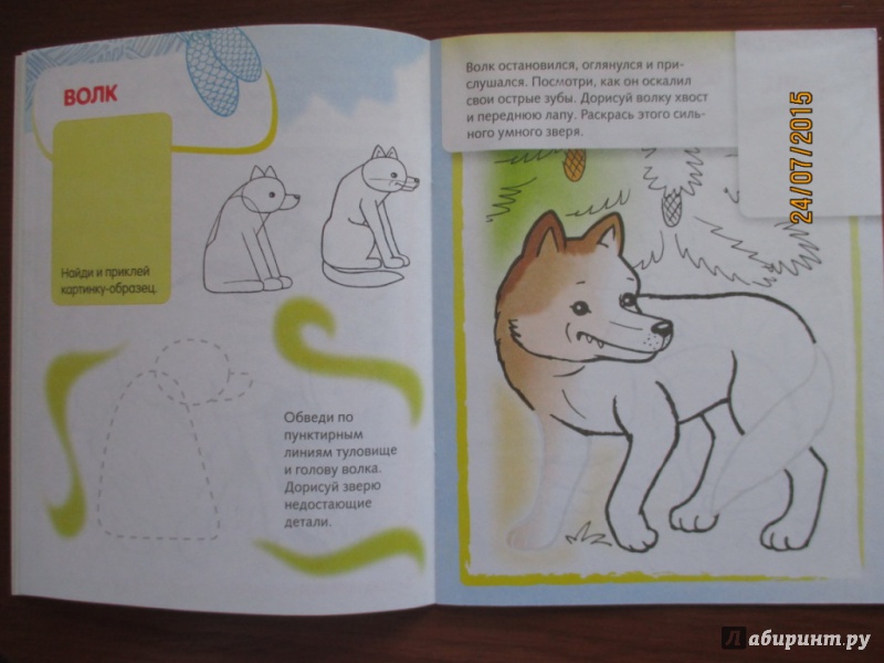 Иллюстрация 5 из 25 для Лесные звери. Дорисуй и раскрась | Лабиринт - книги. Источник: Марина Епифанцева