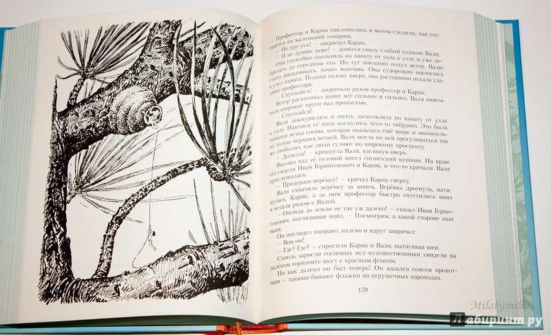 Иллюстрация 77 из 101 для Необыкновенные приключения Карика и Вали - Ян Ларри | Лабиринт - книги. Источник: Букландия