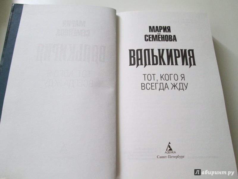 Иллюстрация 10 из 21 для Валькирия. Тот, кого я всегда жду - Мария Семенова | Лабиринт - книги. Источник: Langsknetta